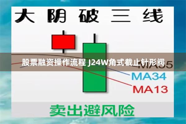 股票融资操作流程 J24W角式截止针形阀