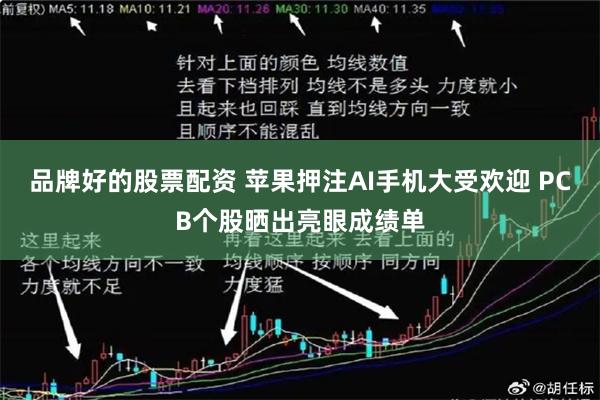 品牌好的股票配资 苹果押注AI手机大受欢迎 PCB个股晒出亮眼成绩单