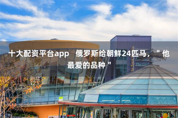 十大配资平台app   俄罗斯给朝鲜24匹马，＂他最爱的品种＂