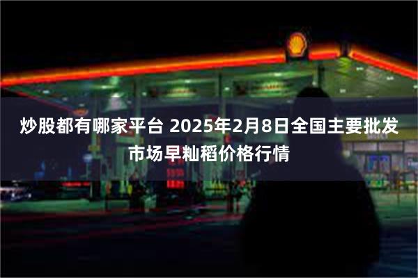 炒股都有哪家平台 2025年2月8日全国主要批发市场早籼稻价格行情