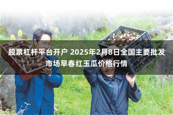 股票杠杆平台开户 2025年2月8日全国主要批发市场早春红玉瓜价格行情