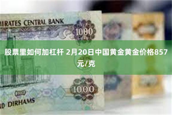 股票里如何加杠杆 2月20日中国黄金黄金价格857元/克